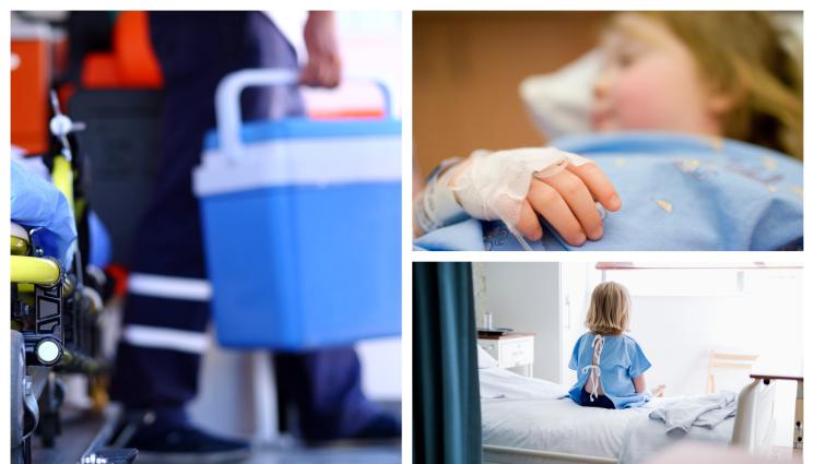 трансплантации - БЕБЕ И 18 ДЕЦА ЧАКАТ ЗА ОРГАНИ: Най-много се нуждаят от черен дроб