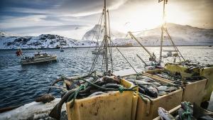Норвегия и Русия постигнаха споразумение за риболовните квоти за 2023