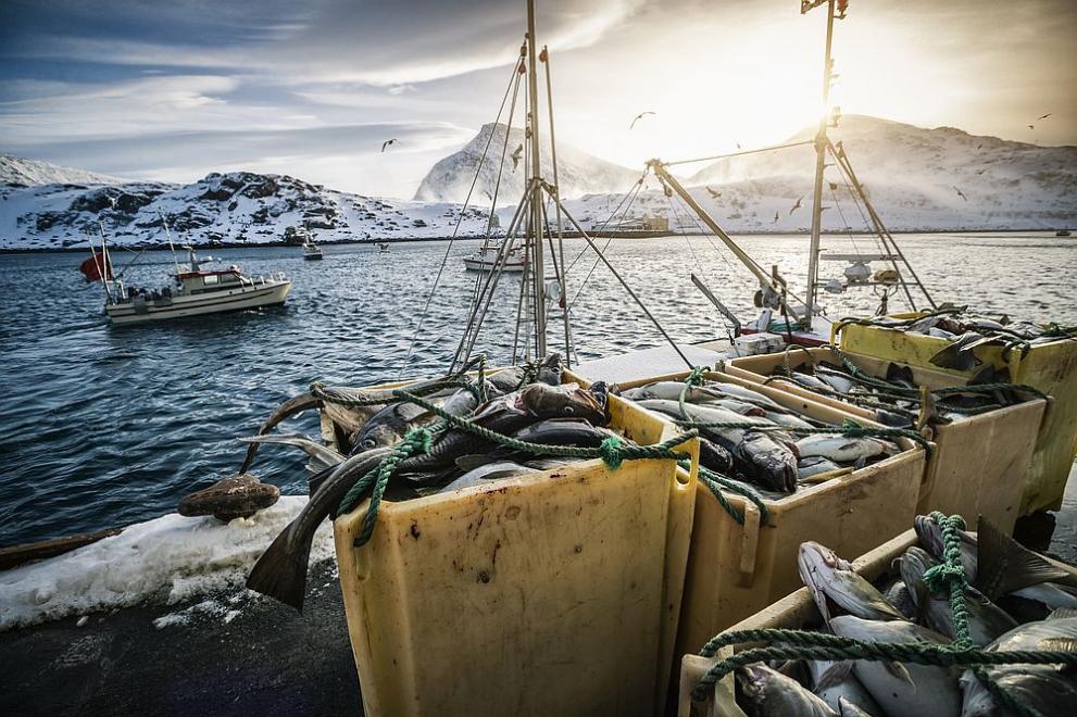 Норвегия и Русия постигнаха споразумение за риболовните квоти за 2023