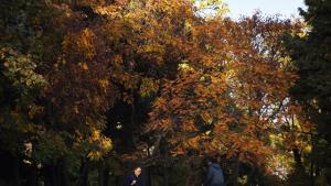 есен във Варна