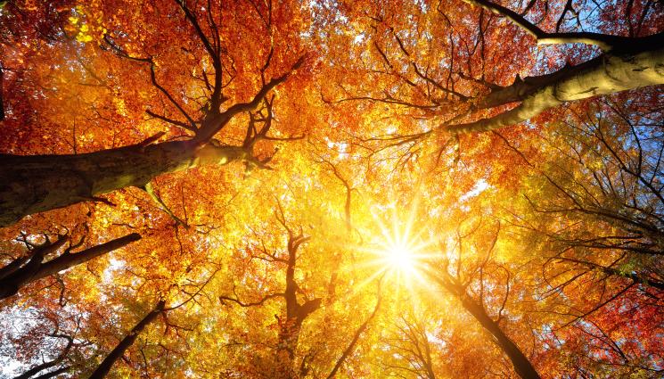 време - КАКВО ВРЕМЕ НИ ОЧАКВА? Лято до 6 ноември, само сутрин ще е есен