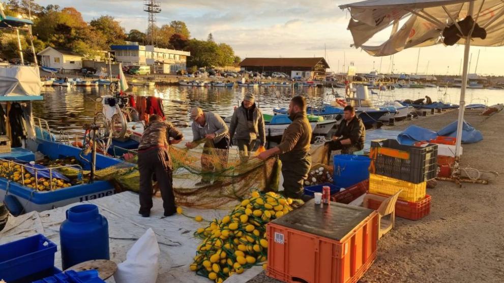 Рибарите в Царево заплашват да спрат да влизат с лодките