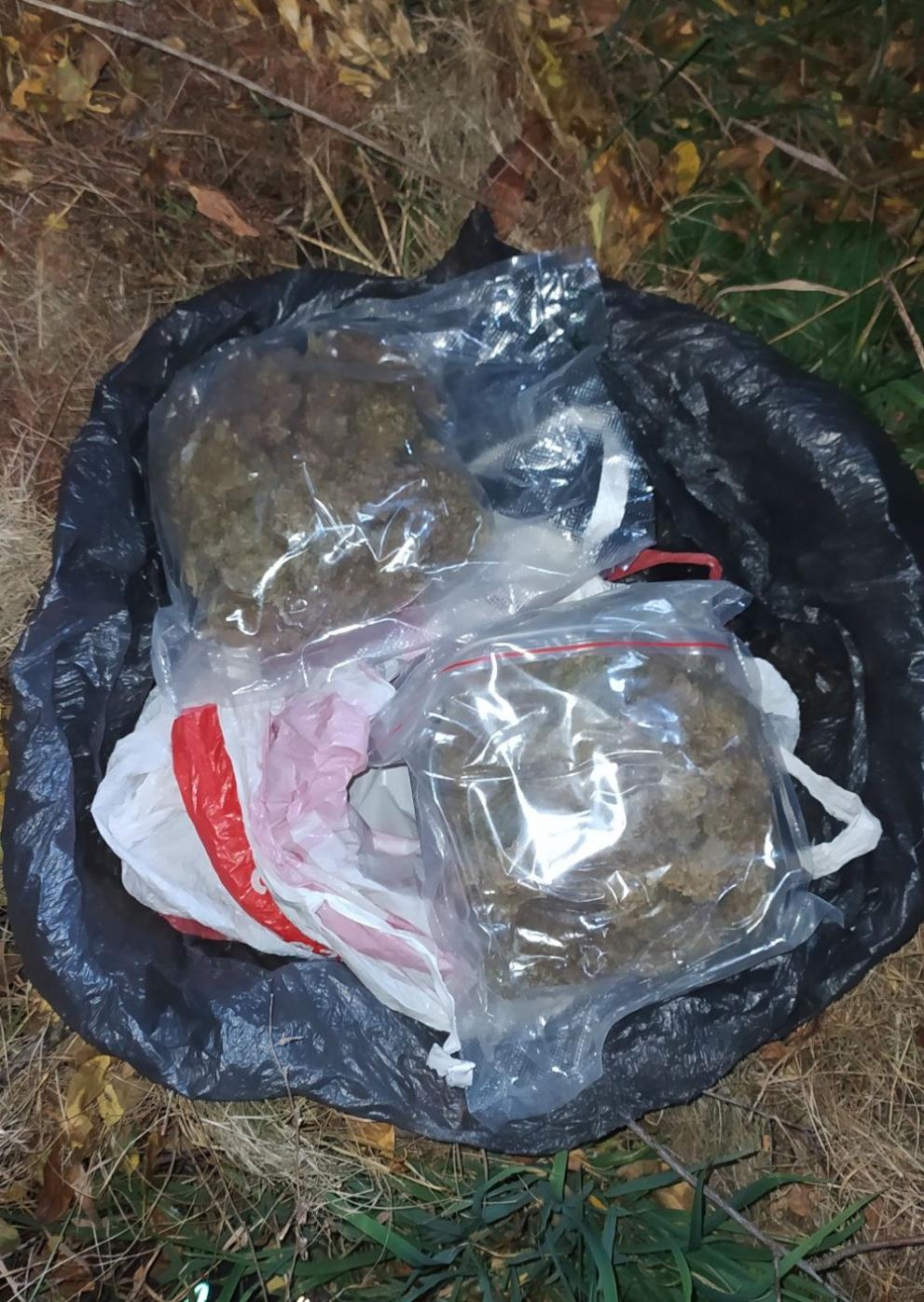  Откриха над кг марихуана при спецакция в Пернишко 