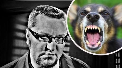 Карбовски куче