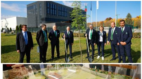 Дърво и Лудогорец и Бетис