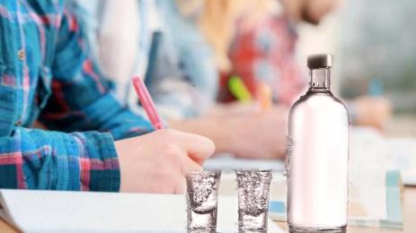 ученици алкохол