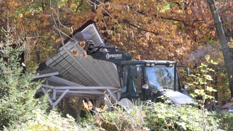 Веселото село Борисовата градина