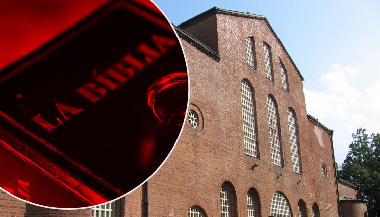 църква библия - БОРБАТА Е БЕЗМИСЛОСТНО ЖЕСТОКА: Църквата тръгва с  Библия срещу Хелоуин