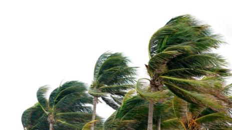 тропическа буря