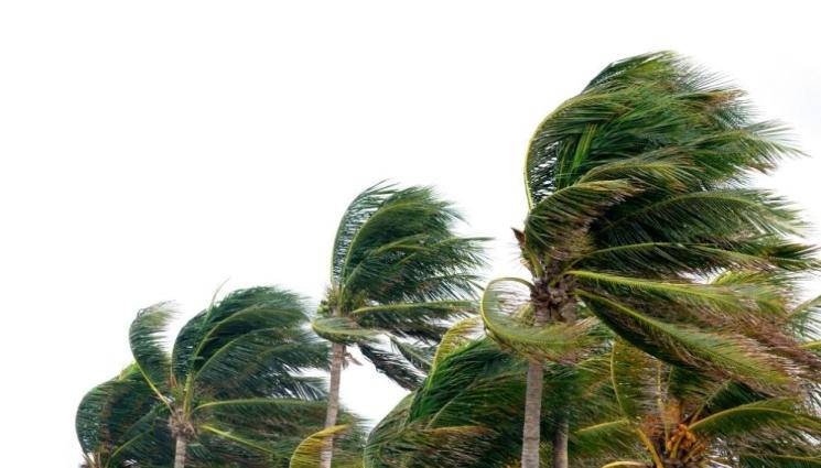 тропическа буря - Тропическата буря „Налгае“ взе 72 жертви във Филипините