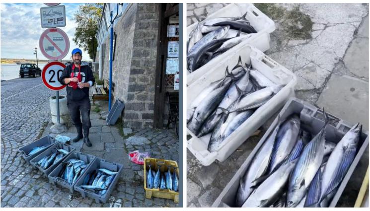 риба - В МОРЕТО ВРИ И КИПИ: Въдичари вадят по 100 паламуда на ден