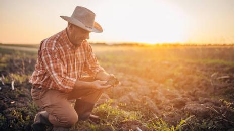 агро суша време
