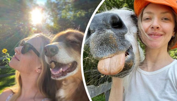 Аманда Сайфред - Холивудска звезда храни патици и кокошки