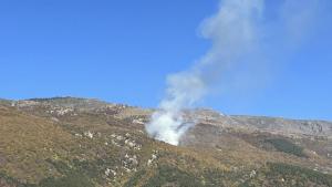 Низов пожар в габърова гора край Карлово стана причина по