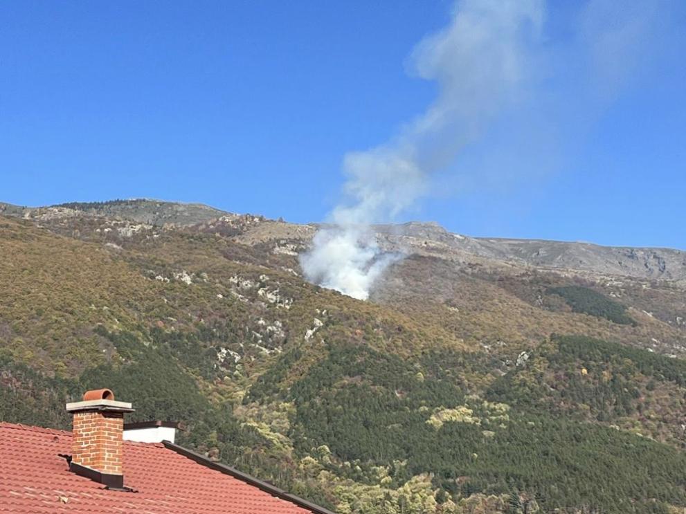 Низов пожар в габърова гора край Карлово стана причина по