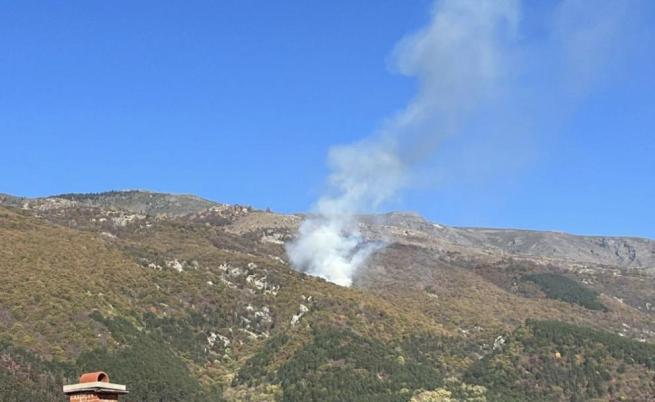 Пожар в гората край Карлово вдигна огнеборците на крак
