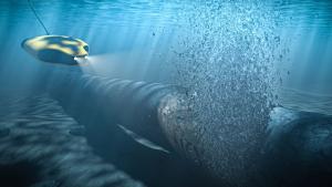 Великобритания е предаала на Украйна безпилотни подводни апарати с помощта