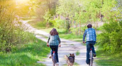 куче велосипед