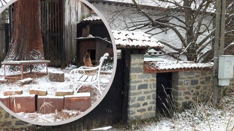 къща Димитър Талев