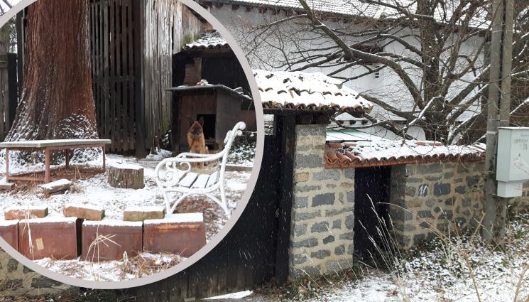 къща Димитър Талев - ЕКСКЛУЗИВНО: Обсадиха дома на Димитър Талев в Бистрица, по внука му летяли камъни (ВИДЕО+СНИМКИ)