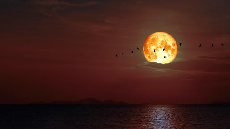 Четирите зодии, които ще бъдат най-повлияни от лунното затъмнение на кървавата луна на 8 ноември