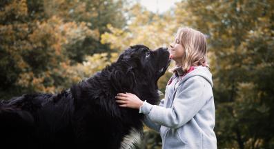 голямо куче