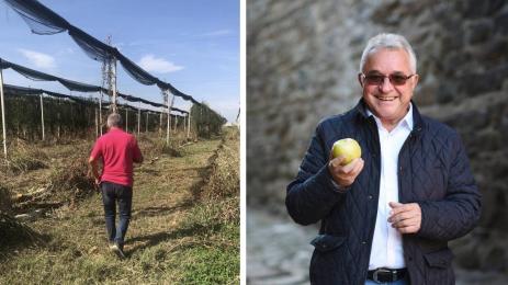 Красимир Кумчев