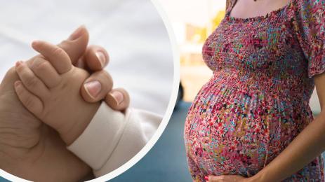 бебе бременна