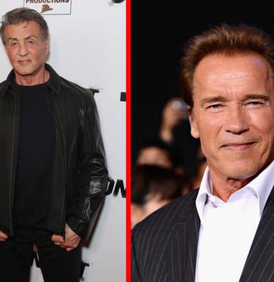 Слай и Шварцемегер