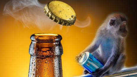 маймуна алкохол