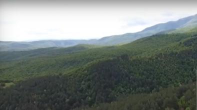 Писмото на "Интръст" ЕАД на Делян Пеевски, което спаси гората край с. Црънча