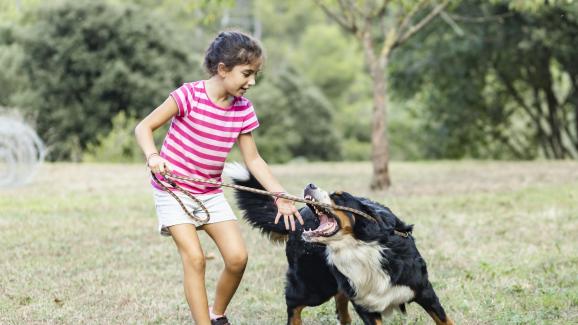 7 ползи за детството от живота с куче