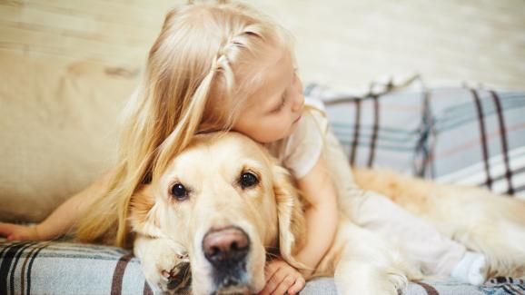 10 големи породи кучета, идеални за семейства с деца