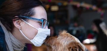 Кучешки грип: Симптоми, лечение и профилактика