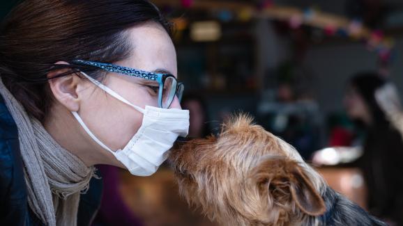 Кучешки грип: Симптоми, лечение и профилактика