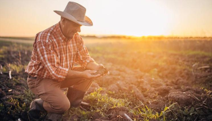 време прогноза температура АГРО - Агро Телеграф: Сушата се задълбочава