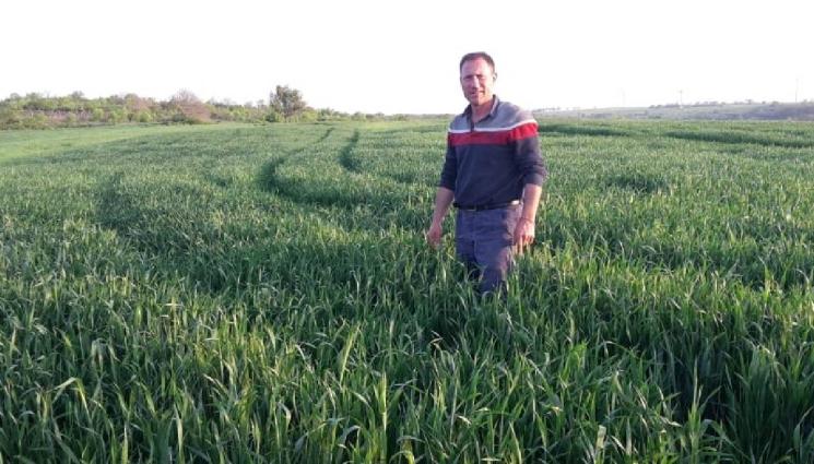 агро - Агро Телеграф: Опустиняване грози България