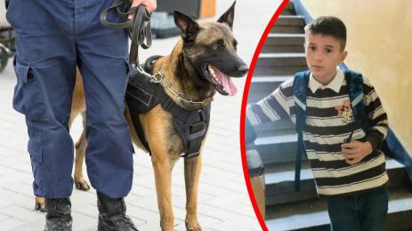 издирване Александър Перник