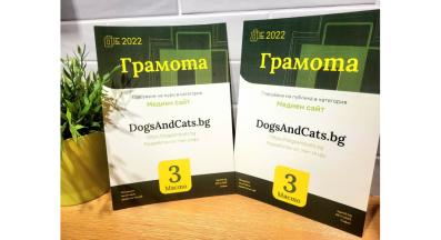 Грамоти Сайт на годината