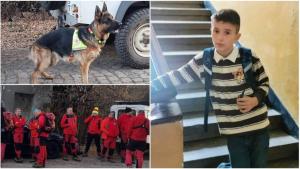 Шест кучета са търсили днес 12 годишния Александър в пернишката планина