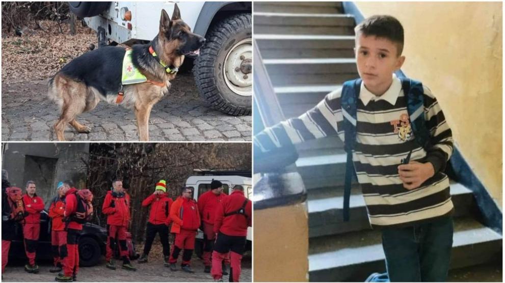 Шест кучета са търсили днес 12-годишния Александър в пернишката планина