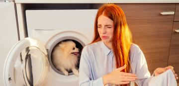 Какво представлява миризмата на куче и как да я ограничим