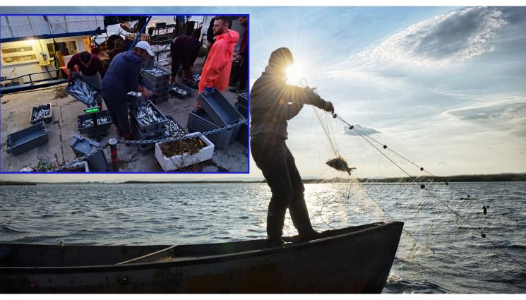 а - НАСЛУКА: Морето ври от чернокоп в Созопол