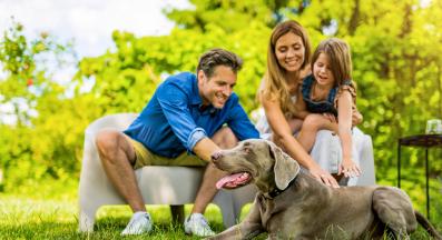 човек и куче