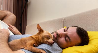 куче стопанин