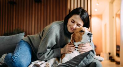 куче стопанин