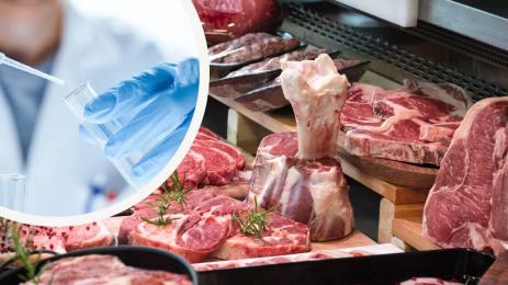 месо лаборатория