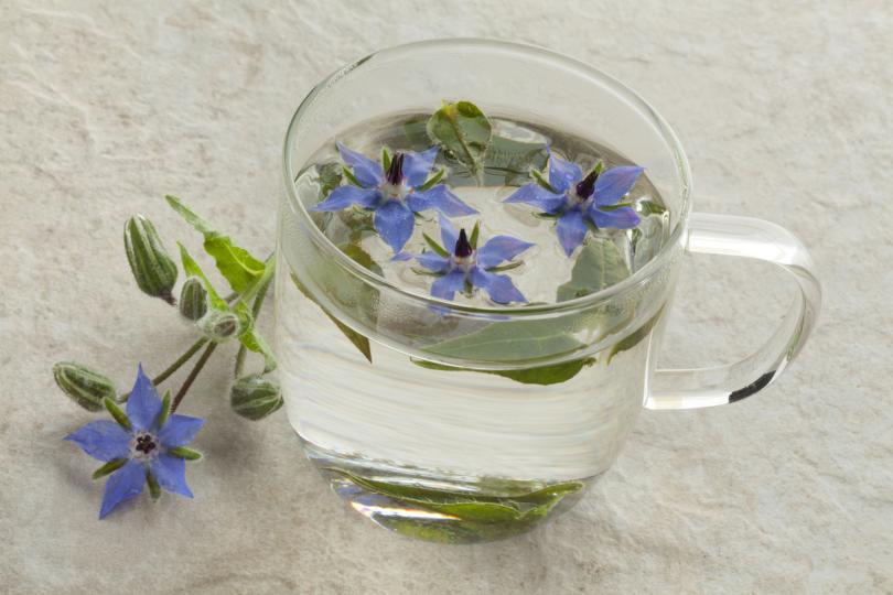 10 опасни вида чай, които да избягвате по време на бременност