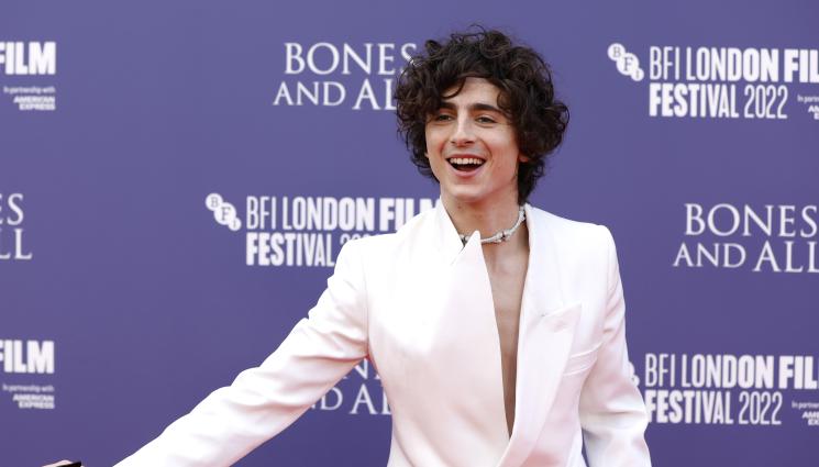 Тимъти Шаломе - НА ЕКРАНА: Тимъти Шаламе отново застава пред камерата на режисьора Лука Гуаданино