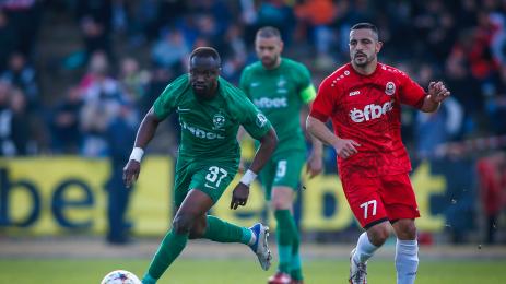 Розова долина Лудогорец